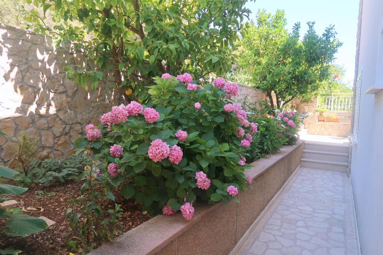 Cvita Apartments تروغير المظهر الخارجي الصورة
